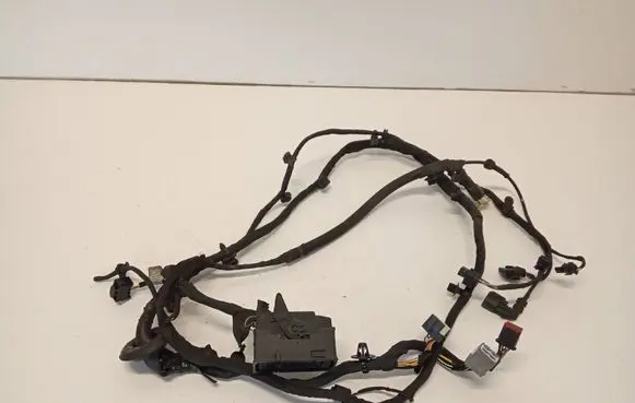 Volvo XC60 Other wiring loom 22086591