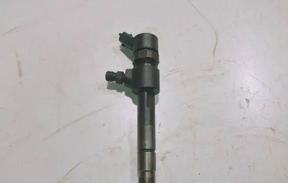 Opel Signum Fuel injector 0445110165 BI83DKCAB