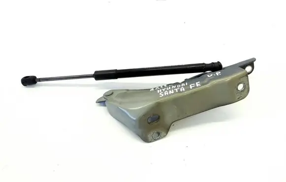 Hyundai Santa Fe Engine bonnet/hood hinges 81161S1000