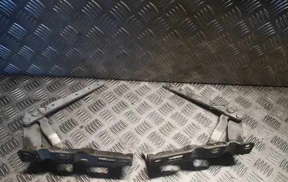 Mercedes-Benz C W203 Engine bonnet/hood hinges 2038800328 2038800428