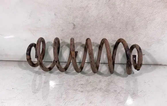 Rear coil spring