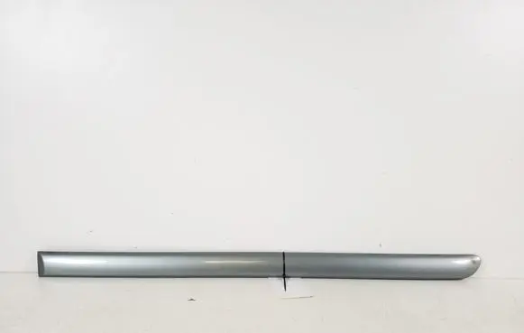 Rear door trim (molding)