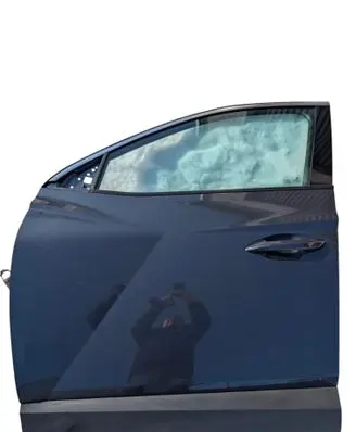 Hyundai Tucson IV NX4 Front door 