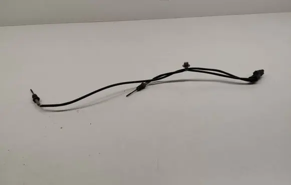 Citroen Berlingo Exhaust gas temperature sensor 