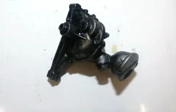 Mercedes-Benz C W202 Oil pump 6011810101