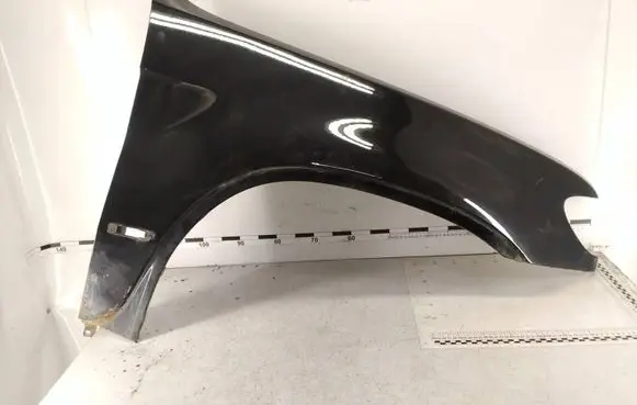 BMW X5 E53 Fender 65713P217A 09606G218A