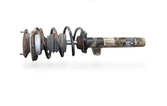 Front shock absorber with coil spring