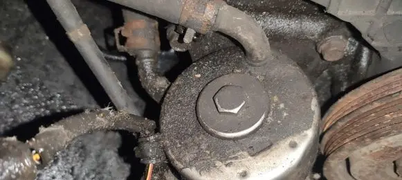 Honda Legend Engine oil radiator 
