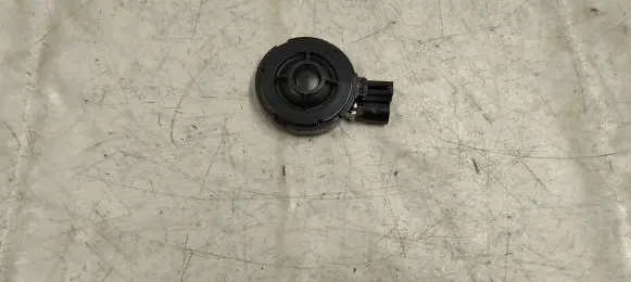 Front door high frequency speaker