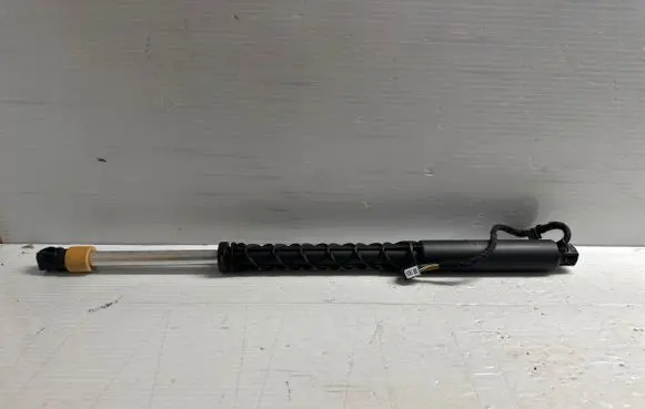 Tailgate strut