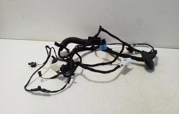 Audi e-tron Rear door wiring loom 4KE971687D