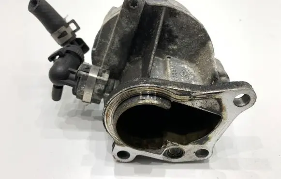 Suzuki Grand Vitara II Vacuum pump D163451323