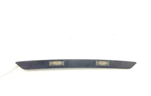 Trunk door license plate light bar