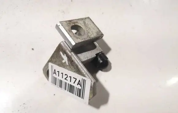 Volkswagen PASSAT B6 Rear door lower hinge 