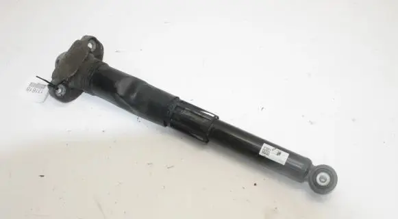 Volkswagen ID.3 Rear shock absorber/damper 1EA512011AD