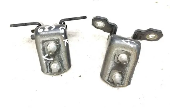 Renault Espace IV Rear door hinge set TEB66
