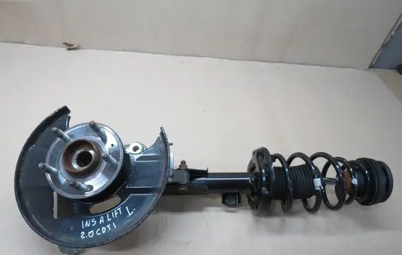 Opel Insignia A Rear shock absorber with coil spring 