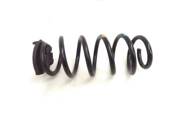 Rear coil spring
