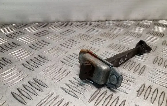 KIA Sorento Rear door check strap stopper 