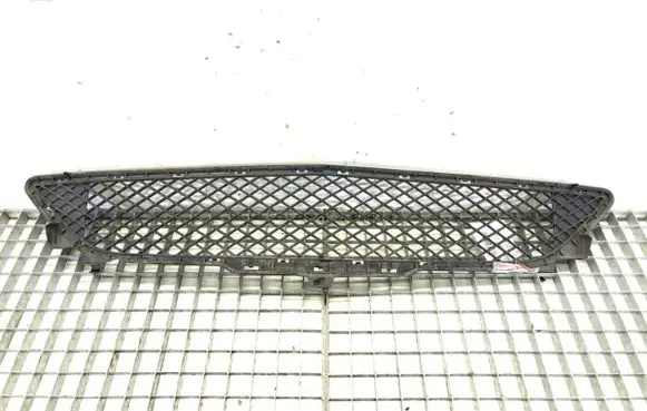 Front bumper lower grill