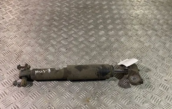 Ford Mustang VI Rear shock absorber/damper FR3C18W002