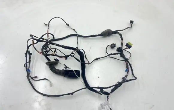 BMW 5 G30 G31 Front door wiring loom 9841253