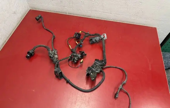 BMW X3 G45 Gearbox/transmission wiring loom 5A6A670 5A6CA92