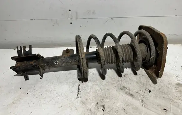 Citroen C8 Front shock absorber/damper