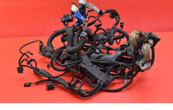 Other wiring loom