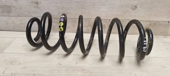 Volkswagen PASSAT B6 Rear coil spring 