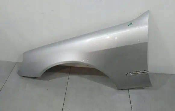 Mercedes-Benz S W220 Fender 