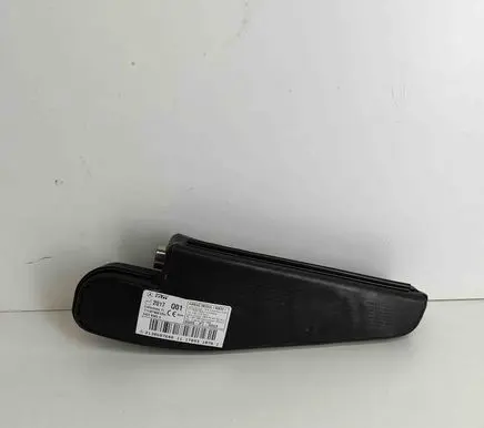 Seat airbag