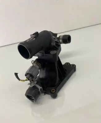 Thermostat/thermostat housing