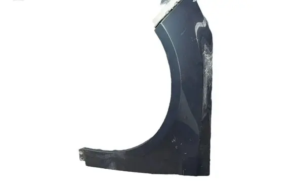 Ford Focus Fender