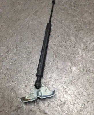 Renault Zoe Tailgate/trunk strut/damper 904502915R 7000510531B0