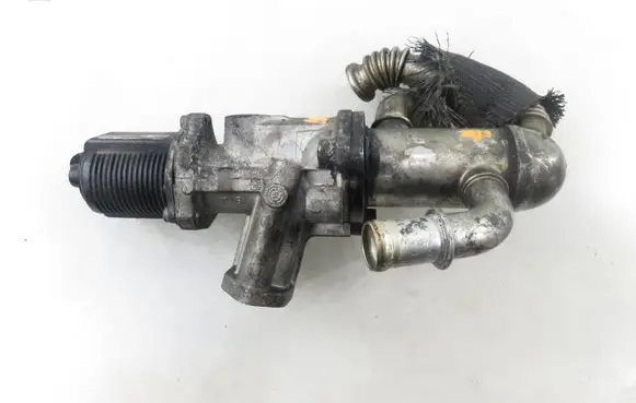 Fiat Doblo EGR valve 700020250