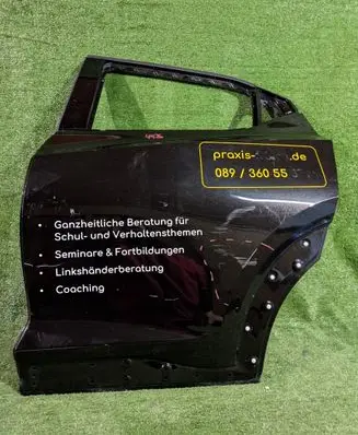Nissan Juke II F16 Rear door 
