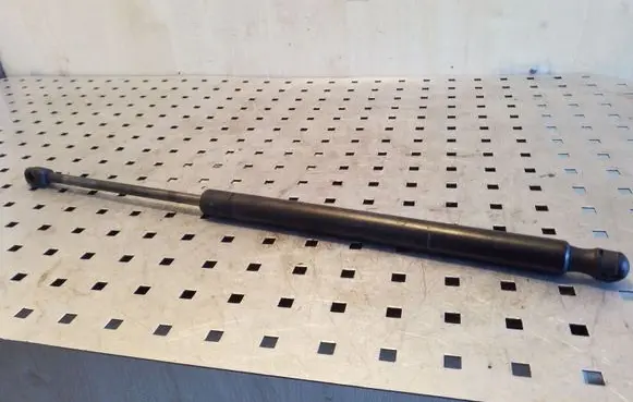 Tailgate/trunk strut/damper