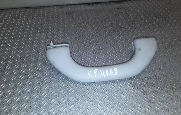 Front interior roof grab handle