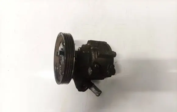 Dacia Sandero Power steering pump 7613955613