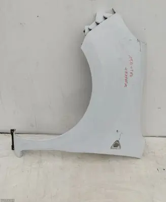 Renault Kangoo II Fender