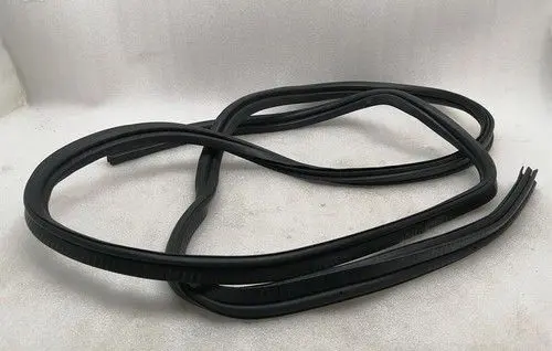 Dodge PickUp RAM SRT-10 Front door rubber seal 4865561AG