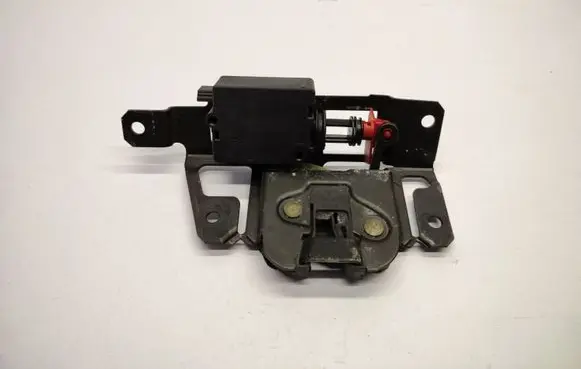Loading door lock