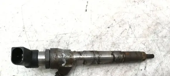 Renault Scenic III - Grand scenic III Fuel injector 166008052R 23946 H8200704191