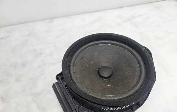 Opel Insignia A Front door speaker 5234