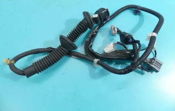 Rear door wiring loom