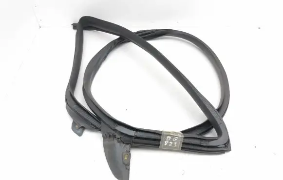 Tesla Model 3 Rear door rubber seal (on body) 