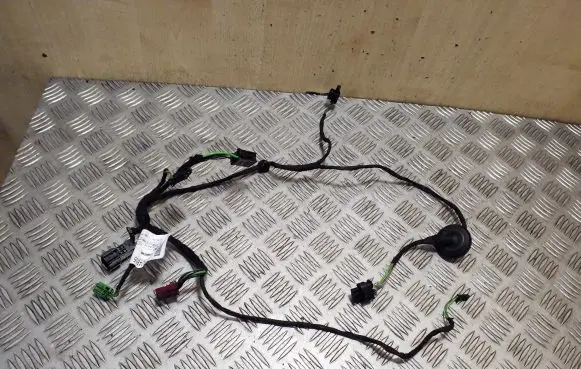 Mercedes-Benz B W246 W242 Front door wiring loom A2465404805