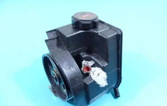 Electric power steering pump