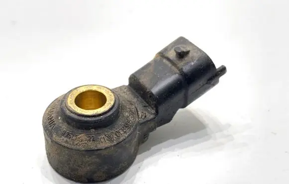 Porsche Panamera (970) Detonation knock sensor 0261231322